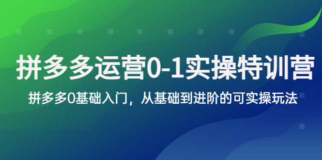 (5747期)拼多多-运营0-1实操训练营,拼多多0基础入门,从基础到进阶的可实操玩法-汇课新知资源网