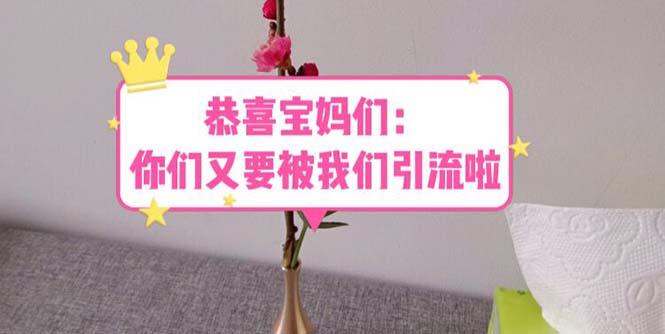 (5891期)恭喜宝妈们:你们又要被我们引流了(教程+222g资料)-汇课新知资源网