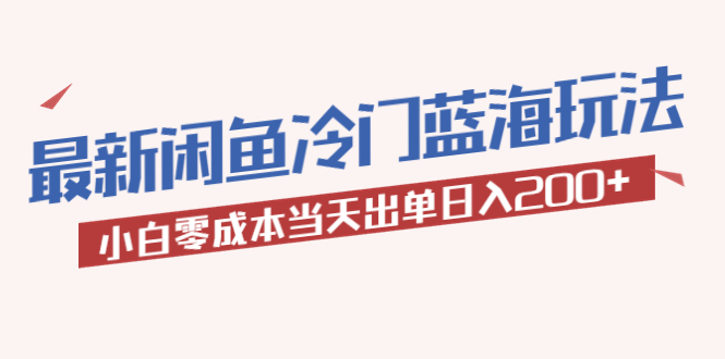 (5903期)2023最新闲鱼冷门蓝海玩法,小白零成本当天出单日入200+-汇课新知资源网