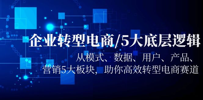 (5939期)企业转型电商/5大底层逻辑,从模式 数据 用户 产品 营销5大板块,高效转型-汇课新知资源网