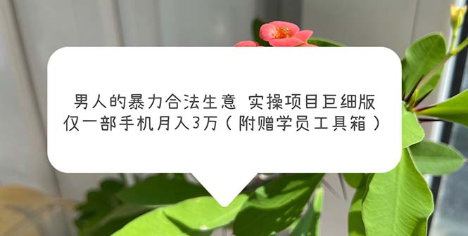 (5962期)男人的暴力合法生意实操项目巨细版:仅一部手机月入3w(附赠学员工具箱)-汇课新知资源网