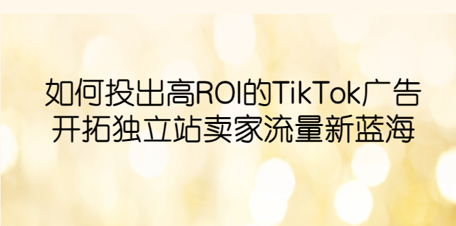 （6102期）如何投出高ROI·TikTok广告，开拓独立站卖家流量新蓝海-汇课新知资源网