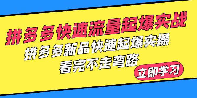 （6253期）拼多多-快速流量起爆实战，拼多多新品快速起爆实操，看完不走弯路-汇课新知资源网