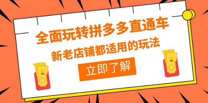 (6294期)全面玩转拼多多直通车,新老店铺都适用的玩法(12节精华课)-汇课新知资源网