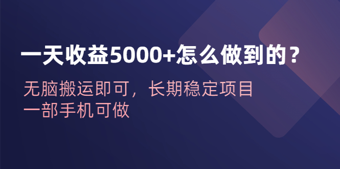 (6435期)一天收益5000+怎么做到的?无脑搬运即可,长期稳定项目,一部手机可做-汇课新知资源网