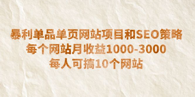 (6503期)暴利单品单页网站项目和SEO策略 每个网站月收益1000-3000 每人可搞10个-汇课新知资源网