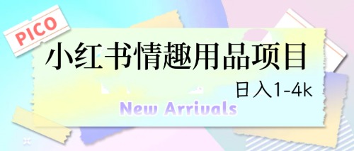 (6555期)最新小红书情趣用品项目,日入1-4k-汇课新知资源网