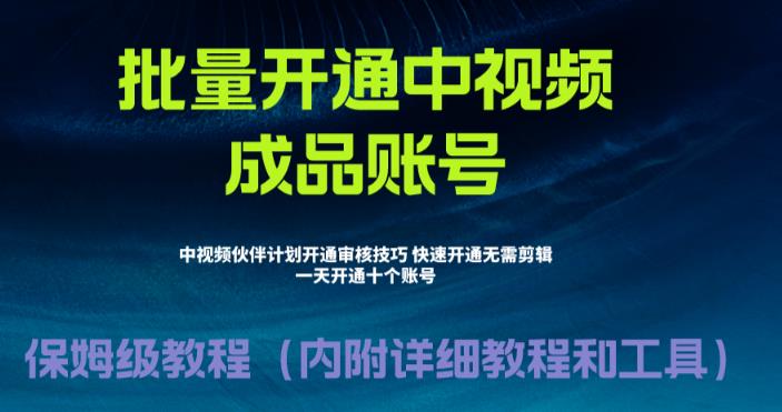 (6561期)外面收费1980暴力开通中视频计划教程,附 快速通过中视频伙伴计划的办法-汇课新知资源网