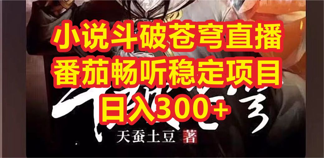 (6584期)小说斗破苍穹直播,番茄畅听日入300+稳定项目-汇课新知资源网