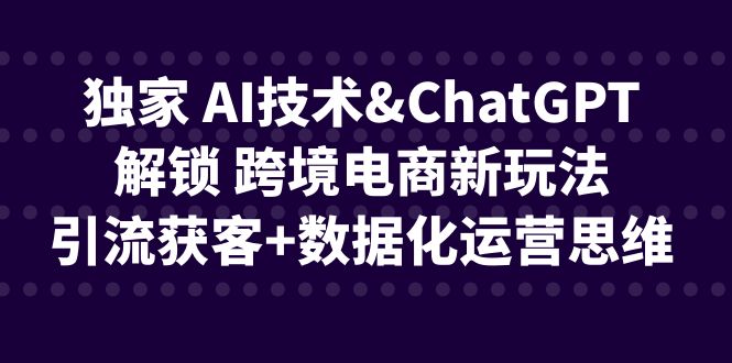 (6599期)独家 AI技术&ChatGPT解锁 跨境电商新玩法,引流获客+数据化运营思维-汇课新知资源网