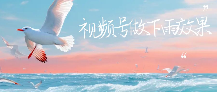 (6637期)视频号做下雨视频,一个账号一周涨粉10W+,日入1000+,附保姆级教程-汇课新知资源网