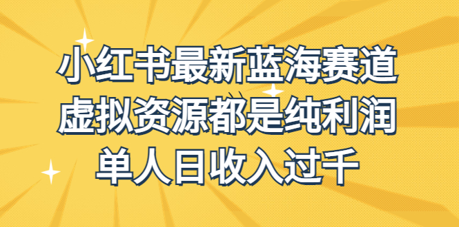 (6721期)外面收费1980的小红书最新蓝海赛道,虚拟资源都是纯利润,单人日收入过千-汇课新知资源网