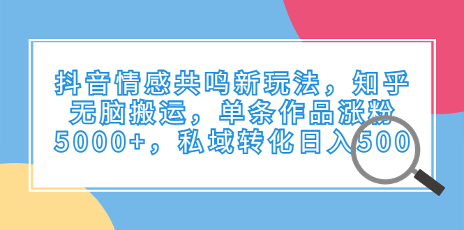 （6758期）抖音情感共鸣新玩法，知乎无脑搬运，单条作品涨粉5000+，私域转化日入500-汇课新知资源网