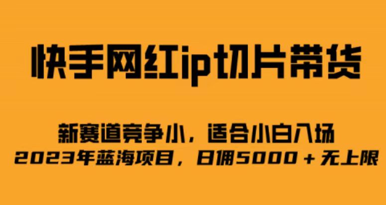 （6832期）快手网红ip切片新赛道，竞争小事，适合小白  2023蓝海项目-汇课新知资源网