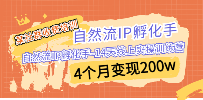 (6924期)某社群收费培训:自然流IP 孵化手-14天线上实操训练营 4个月变现200w-汇课新知资源网