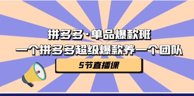 （7019期）拼多多·单品爆款班，一个拼多多超级爆款养一个团队（5节直播课）-汇课新知资源网