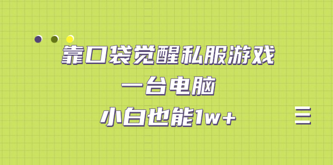 （7113期）靠口袋觉醒私服游戏，一台电脑，小白也能1w+（教程+工具+资料）-汇课新知资源网