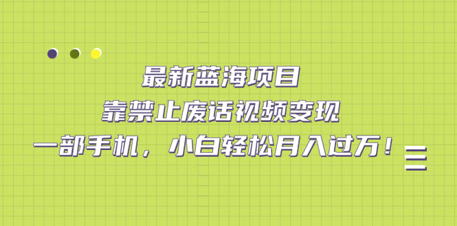 （7276期）最新蓝海项目，靠禁止废话视频变现，一部手机，小白轻松月入过万！-汇课新知资源网
