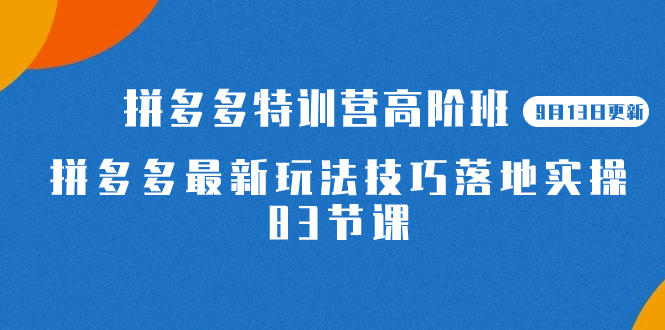 (7295期)2023拼多多·特训营高阶班【9月13日更新】拼多多最新玩法技巧落地实操-83节-汇课新知资源网