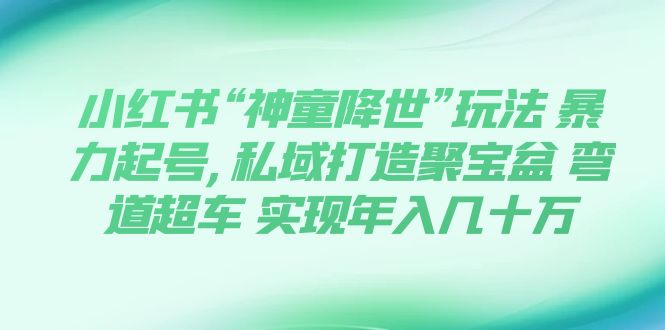 (7673期)小红书“神童降世”玩法 暴力起号,私域打造聚宝盆 弯道超车 实现年入几十万-汇课新知资源网
