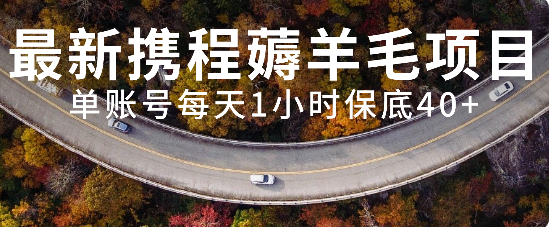 （7995期）最新携程薅羊毛项目，单账号每天1小时保底收益40+，可矩阵操作-汇课新知资源网