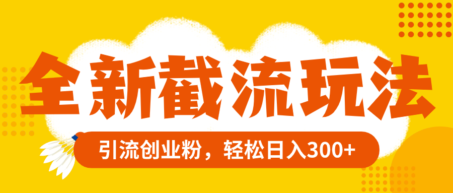 （8025期）全新截流玩法，精准引流创业粉，轻松日入300+-汇课新知资源网