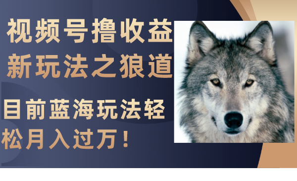 (8042期)视频号撸收益新玩法之狼道,目前蓝海玩法轻松月入过万!-汇课新知资源网