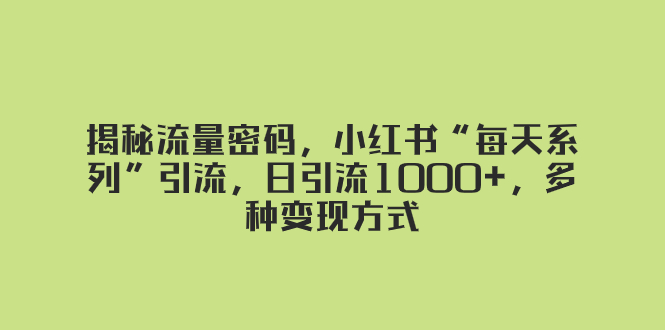 (8179期)揭秘流量密码,小红书“每天系列”引流,日引流1000+,多种变现方式-汇课新知资源网