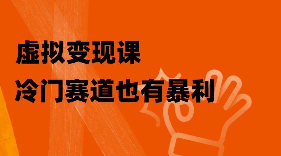 (8219期)虚拟变现课,冷门赛道也有暴利,手把手教你玩转冷门私域-汇课新知资源网