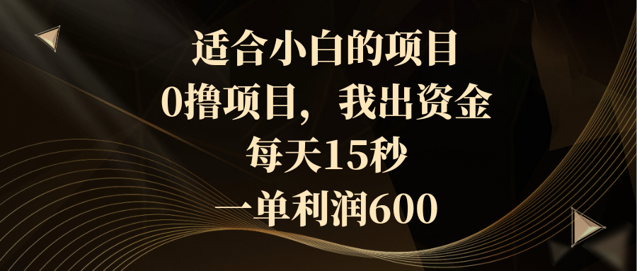 （8571期）适合小白的项目，0撸项目，我出资金，每天15秒，一单利润600-汇课新知资源网