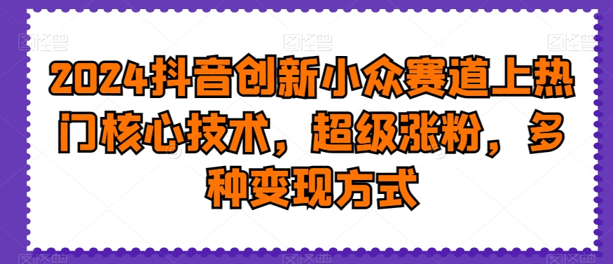 2024抖音创新小众赛道上热门核心技术,超级涨粉,多种变现方式-汇课新知资源网