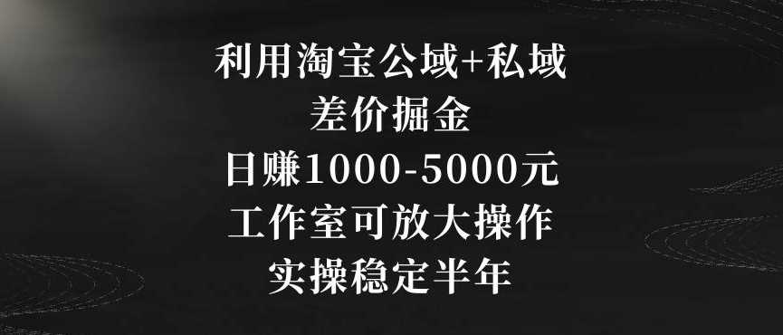 利用淘宝公域+私域差价掘金,日赚1000-5000元,工作室可放大操作,实操稳定半年【揭秘】-汇课新知资源网