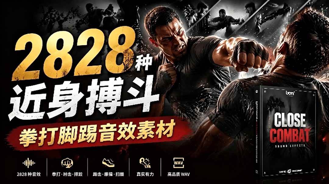 （19072期）宝藏级别音效！2828种近身搏斗拳打脚踢音效素材，全部中文分类，免解压使用  Close Combat-汇课新知资源网