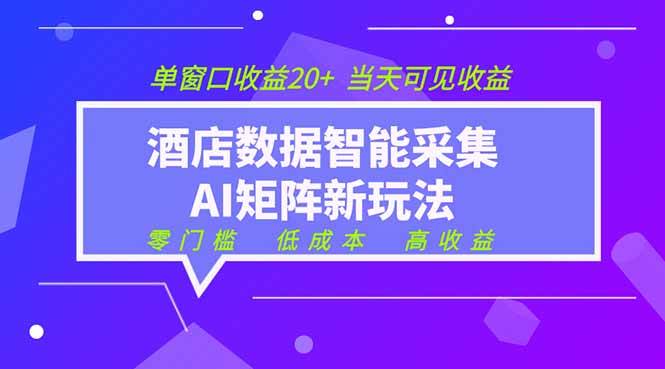 （19041期）2026酒店数据采集ai智能矩阵新风口  低成本   高收益   当天见收益   单窗口20+-汇课新知资源网