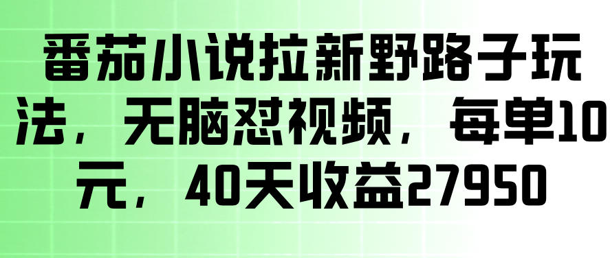 番茄小说拉新野路子玩法，无脑怼视频，玩法简单、见效快，每单10米，40天收益27950-汇课新知资源网