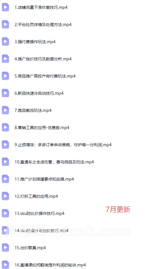 华生-2026拼多多掘金私教课程7月更新(价值999元)