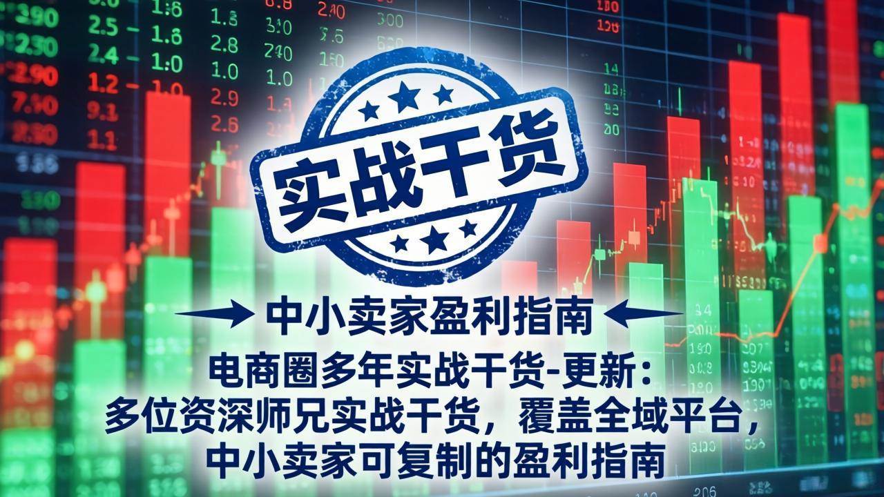 （19447期）电商圈多年实战干货-更新2026：多位资深师兄实战干货/覆盖全域平台，中小卖家可复制的盈利指南-汇课新知资源网