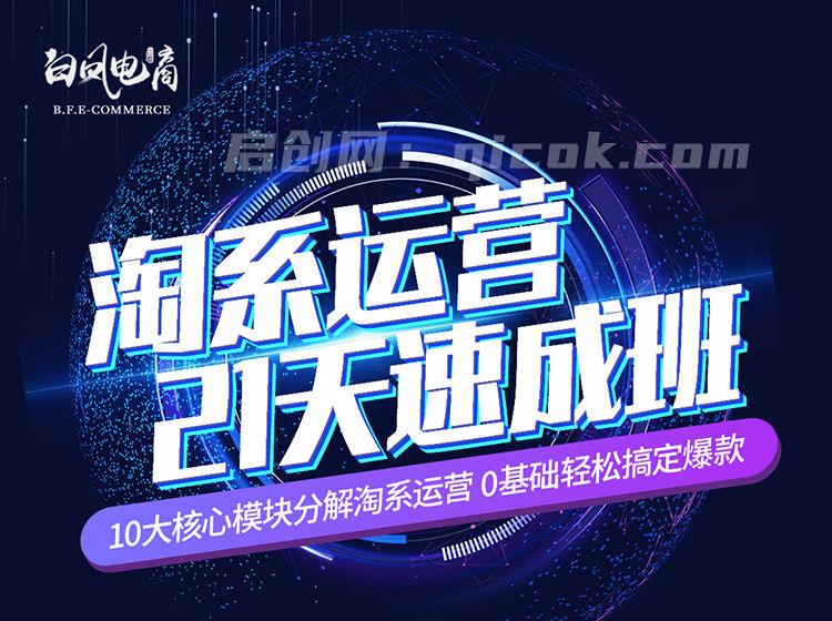 白凤电商-淘系运营21天速成班2026年7月更新(价值4999元)-汇课新知资源网