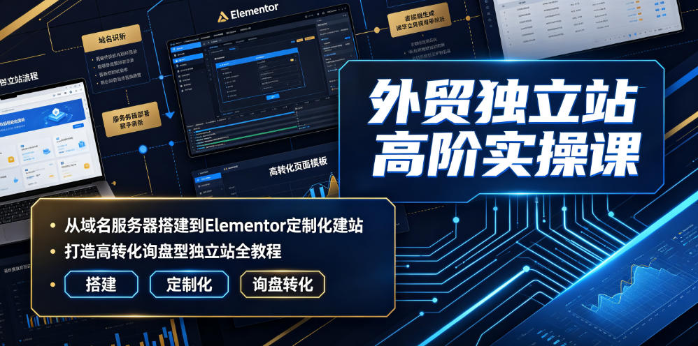 外贸独立站高阶实操课｜从域名服务器搭建到Elementor定制化建站，打造高转化询盘型独立站全教程-汇课新知资源网