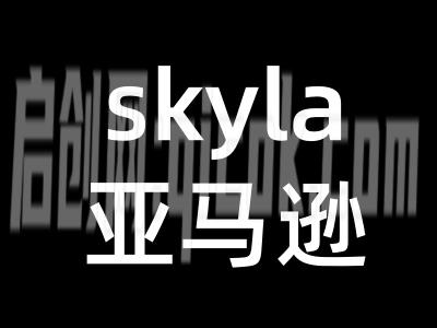 skyla讲亚马逊跨境电商26年8月11更新(价值4980元)-汇课新知资源网