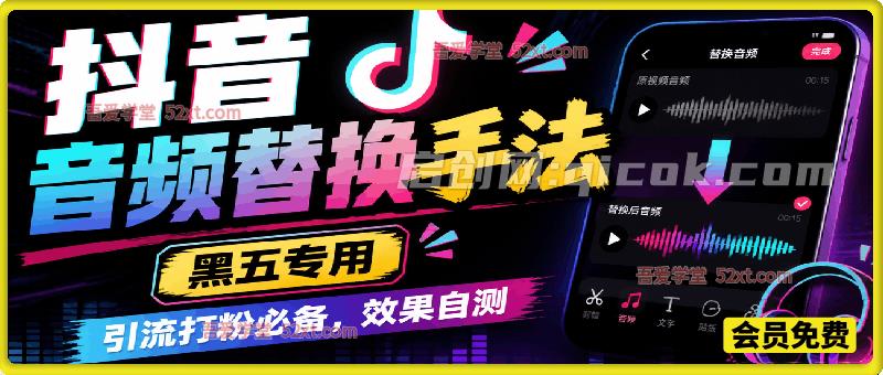 抖音音频替换手法，黑五专用，引流打粉必备，效果自测-汇课新知资源网