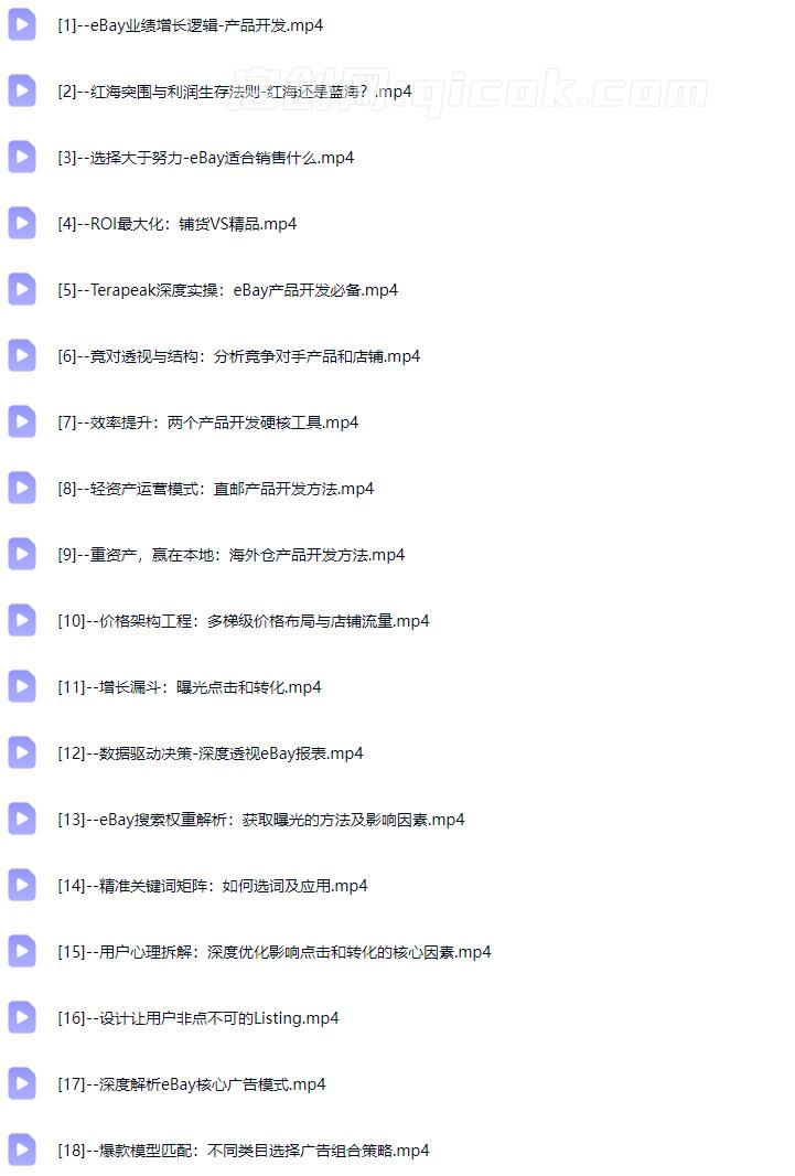 Vincent-2026 eBay全域增长(价值999元)
