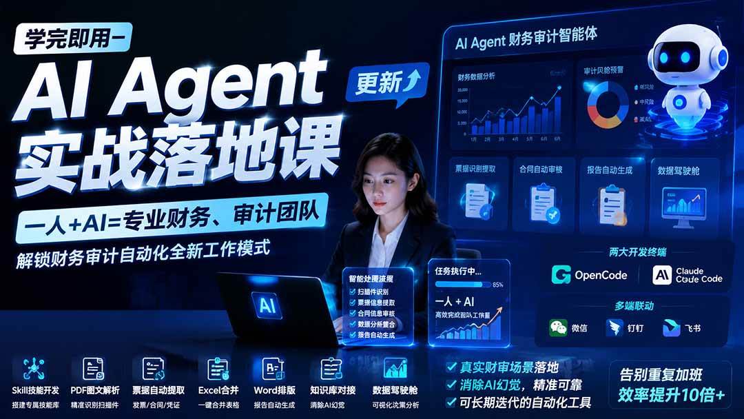 (19740期)学完即用—AI Agent实战落地课-更新:一人+AI=专业财务、审计团队,解锁财务审计自动化全新工作模式-汇课新知资源网