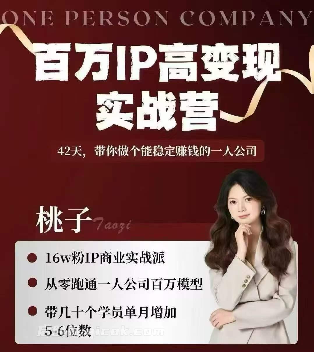 桃子-百万IP高变现实战营2026(价值3980元)-汇课新知资源网