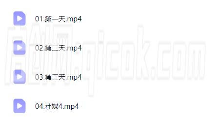 大卫-外贸社媒获客训练营7月2026年(价值3980元)