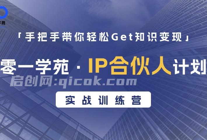 零一学苑·IP合伙人计划实战训练营(价值3980元)