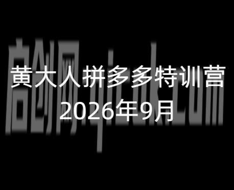黄大人-拼多多特训营2026年9月13(价值3980元)