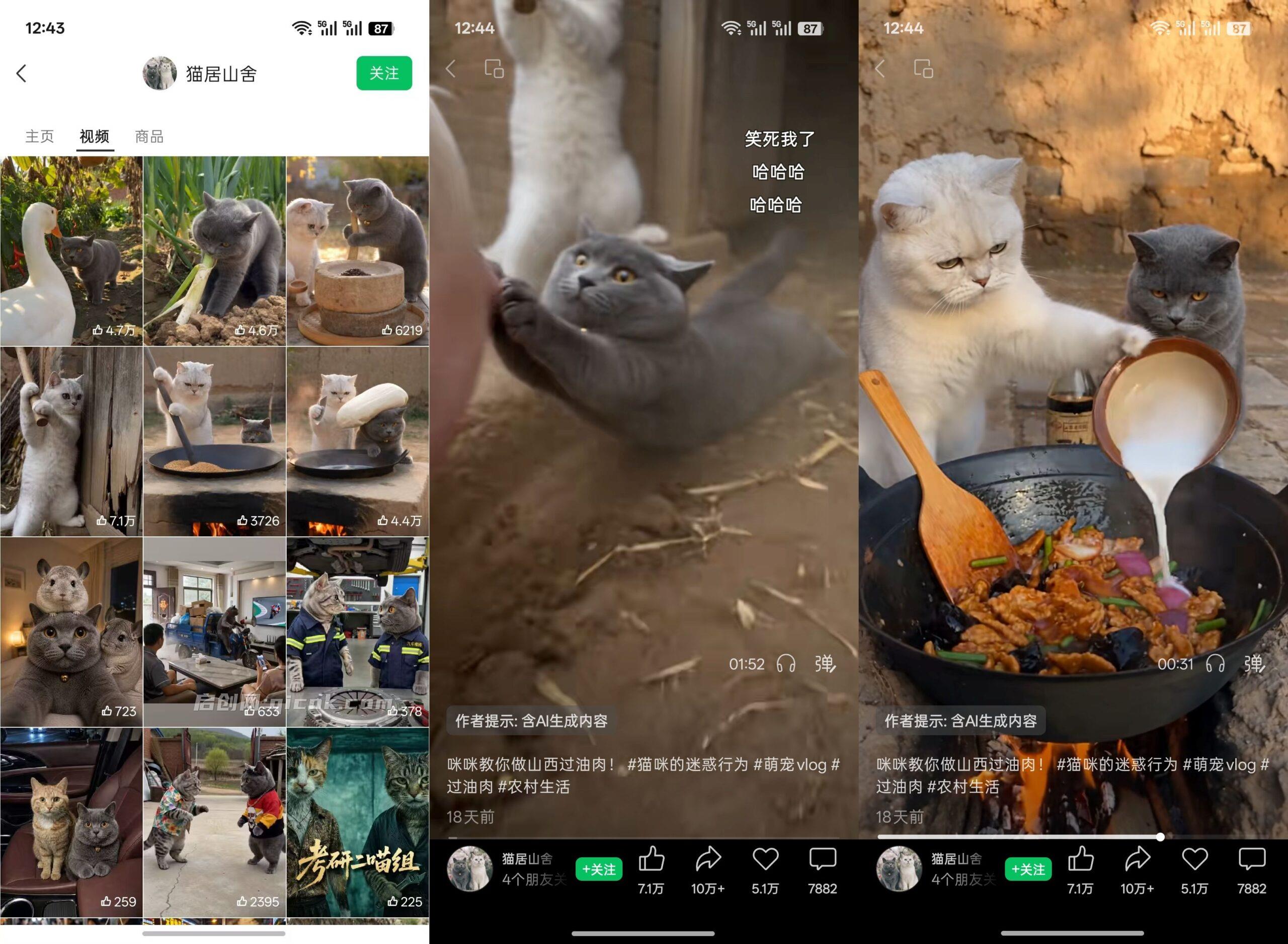 猫咪慢生活短视频，AI搞笑萌宠赛道，视频号分成+精选独家+伙伴计划+商单收徒
