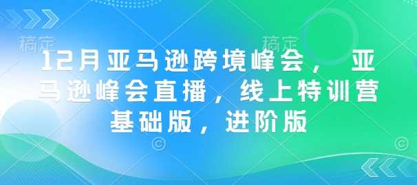 12月亚马逊跨境峰会, 亚马逊峰会直播,线上特训营基础版,进阶版-汇课新知资源网