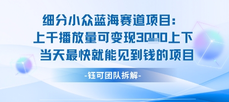 小众蓝海赛道项目：当天变现1k+适合新手操作 +适合长期玩-汇课新知资源网